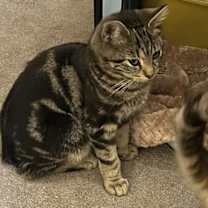 Thumbnail photo of Ranger #4