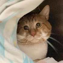 Thumbnail photo of Coco #2