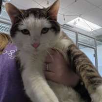 Thumbnail photo of Darry #2