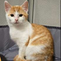 Thumbnail photo of Snap #1