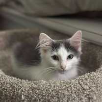 Thumbnail photo of Winter #2