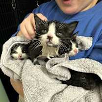 Thumbnail photo of Gumdrop #2