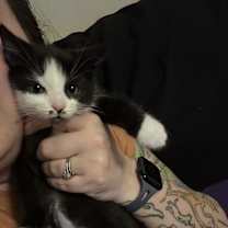 Thumbnail photo of Dot #1