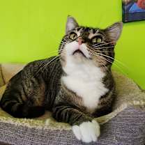 Thumbnail photo of Natalie #2