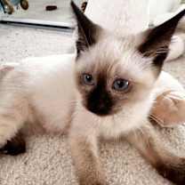 Thumbnail photo of Sky #3