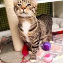 Thumbnail photo of Freddie #1