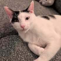 Thumbnail photo of Milky Way #3