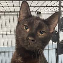 Thumbnail photo of Denver #3