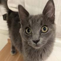 Thumbnail photo of Lenore #1