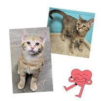 Thumbnail photo of Billy #2