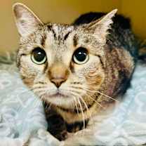 Thumbnail photo of Melly #2