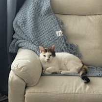 Thumbnail photo of Leah #3