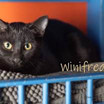 Thumbnail photo of Winifred #1