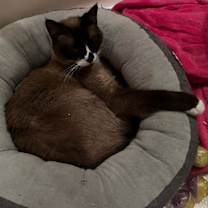 Thumbnail photo of Casey #2