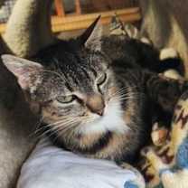 Thumbnail photo of Joy #3