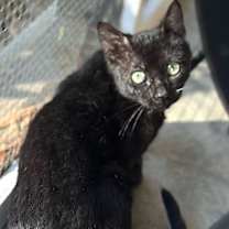 Thumbnail photo of Wesley #2