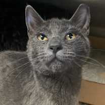 Thumbnail photo of Gloria #1