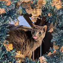 Thumbnail photo of Gloria #2