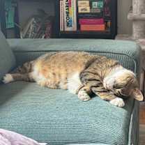 Thumbnail photo of Tobi #2