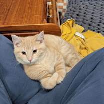 Thumbnail photo of Mo #1