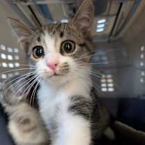 Thumbnail photo of Big Bend #2