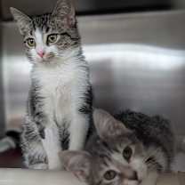 Thumbnail photo of Big Bend #3