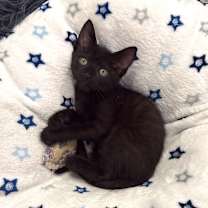 Thumbnail photo of Daisy May #1