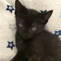 Thumbnail photo of Daisy May #2