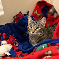 Thumbnail photo of Ruby #3