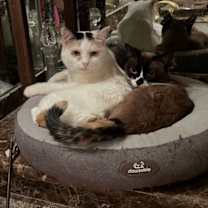 Thumbnail photo of Sasha #2