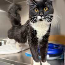 Thumbnail photo of Anchor #2