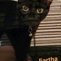 Thumbnail photo of Eartha #3