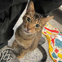 Thumbnail photo of Oliver #4