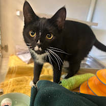 Thumbnail photo of Tuesday #1