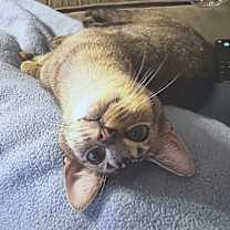 Thumbnail photo of Matt #1