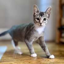 Thumbnail photo of Mary #1