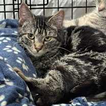 Thumbnail photo of Quinn #3