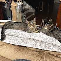 Thumbnail photo of Matt #3