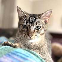 Thumbnail photo of Matt #4