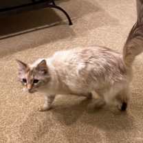 Thumbnail photo of Grace #4