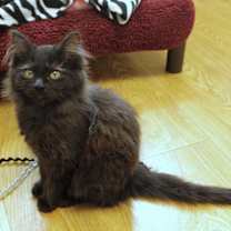 Thumbnail photo of Whitney #1