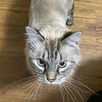 Thumbnail photo of Pete #4