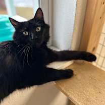 Thumbnail photo of Charlotte #2