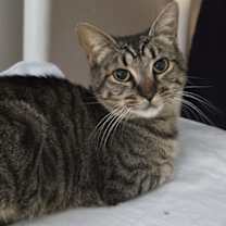 Thumbnail photo of Trinity #1