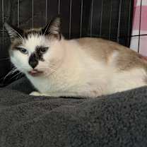 Thumbnail photo of Mario #2