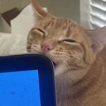 Thumbnail photo of Hobbit #3