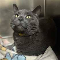 Thumbnail photo of Wanda #1