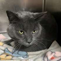 Thumbnail photo of Wanda #2