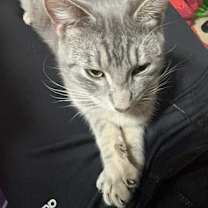 Thumbnail photo of N/A #1