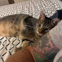 Thumbnail photo of Mnnie #3